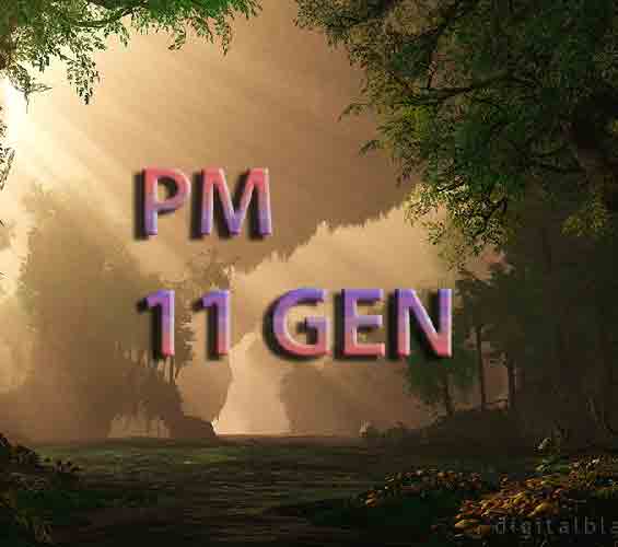 PM 11GEN