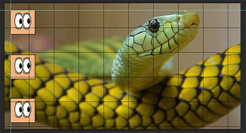 grid snake with eyes x 3